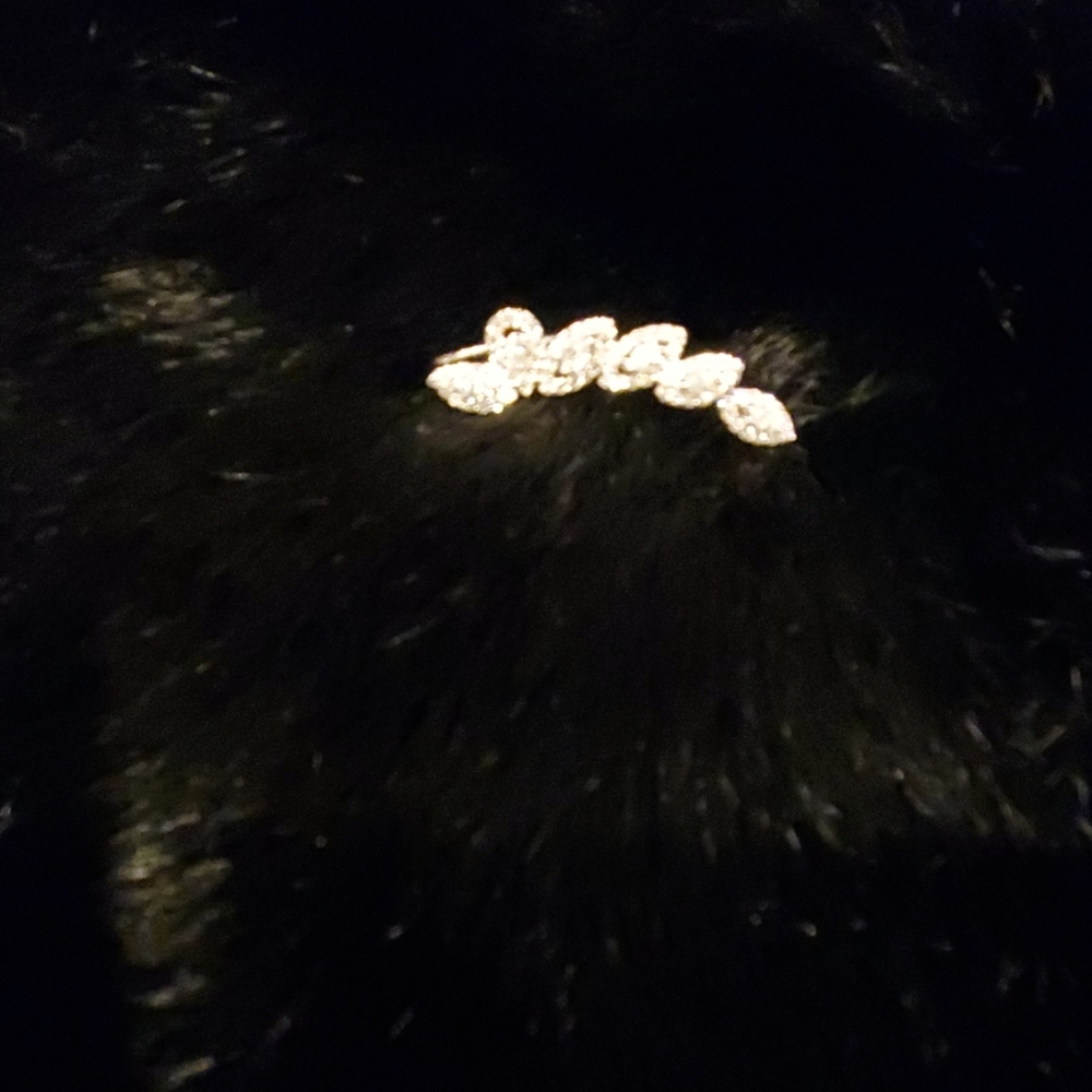 Diamond ear train clip